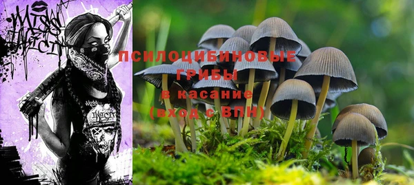мдма Володарск