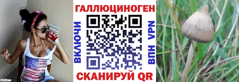 Галлюциногенные грибы ЛСД  Касимов 